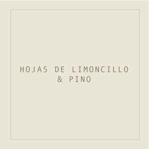 Wax melt Hojas de Limoncillo y Pino